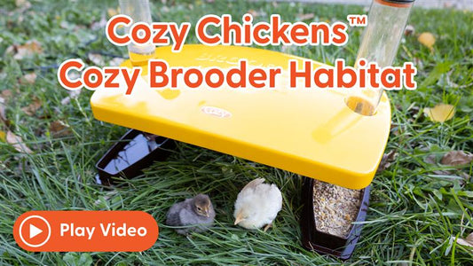 Cozy Chickens™ Brooder Habitat