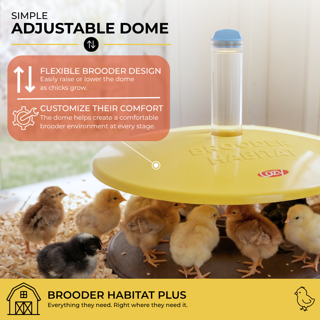 Cozy Chickens™ Brooder Habitat Plus