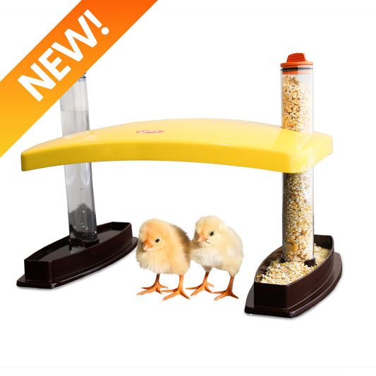 Cozy Chickens™ Brooder Habitat