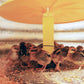 Cozy Chickens™ Brooder Habitat Plus