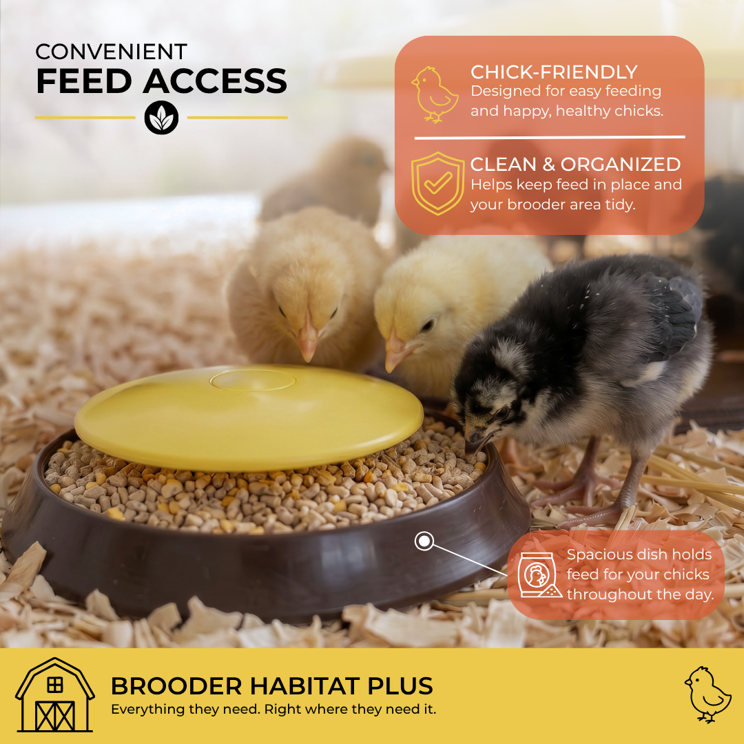 Cozy Chickens™ Brooder Habitat Plus