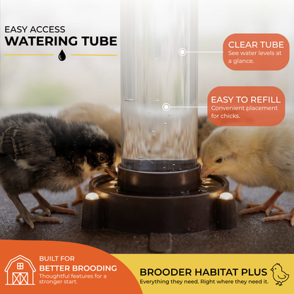 Cozy Chickens™ Brooder Habitat Plus