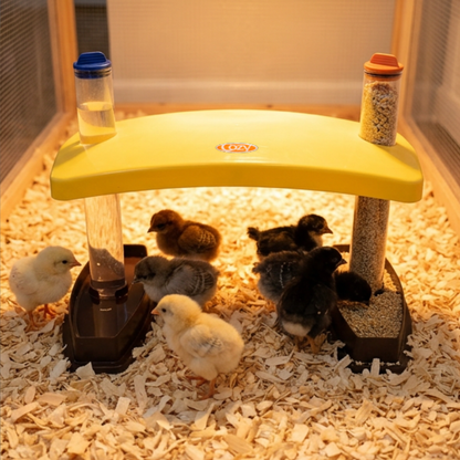 Cozy Chickens™ Brooder Habitat