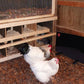 Cozy Coop Flat Panel Chicken Coop Heater