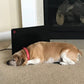 Cozy Pet Warmer Flat Panel Heater